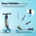 FreeWheel Kick Scooter (Blue)