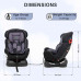 Car Seat (Grey)