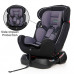 Car Seat (Grey)