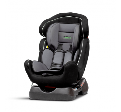 Car Seat (Grey)