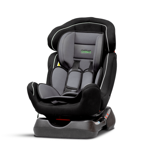 Car Seat (Grey)