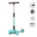 FreeWheel Kick Scooter (Blue)