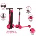 Freewheel Kick Scooter (Pink)