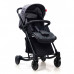 2 in 1 Stroller cum Rocker (Grey)